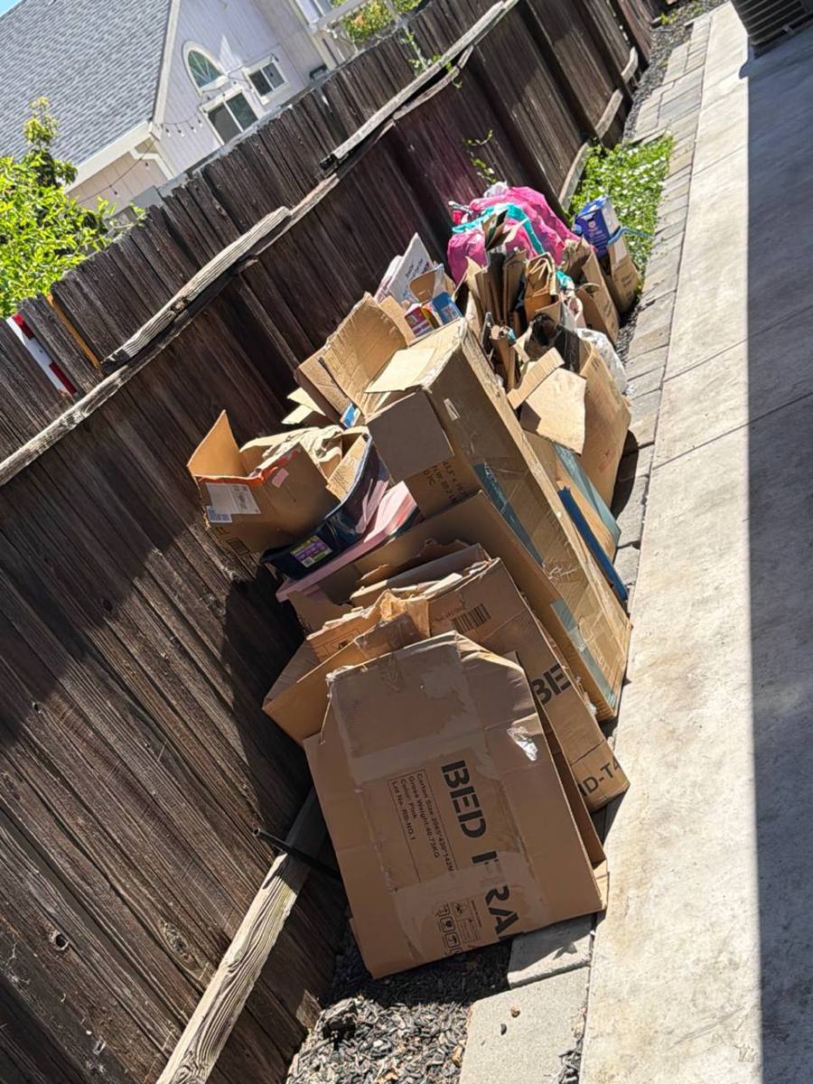Before MZM junk removal &mdash; Walkway Cleanout — Roseville, CA
