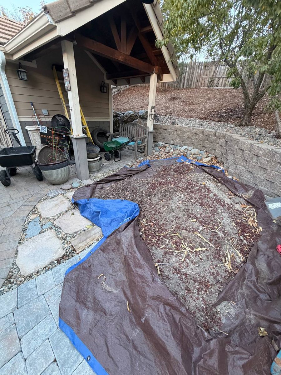 Before MZM junk removal &mdash; Patio & Yard Debris Cleanup — Rocklin, CA