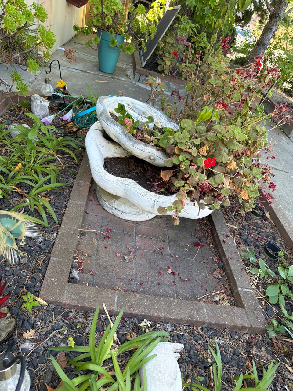 Yard debris cleanout job by MZM Junk Removal