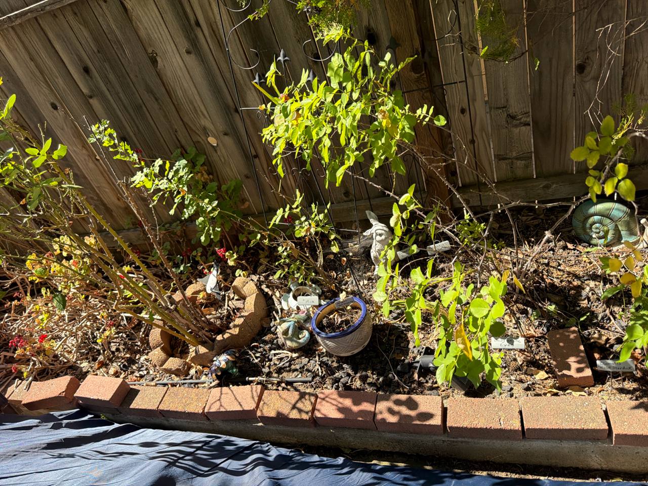 Yard debris cleanout job by MZM Junk Removal