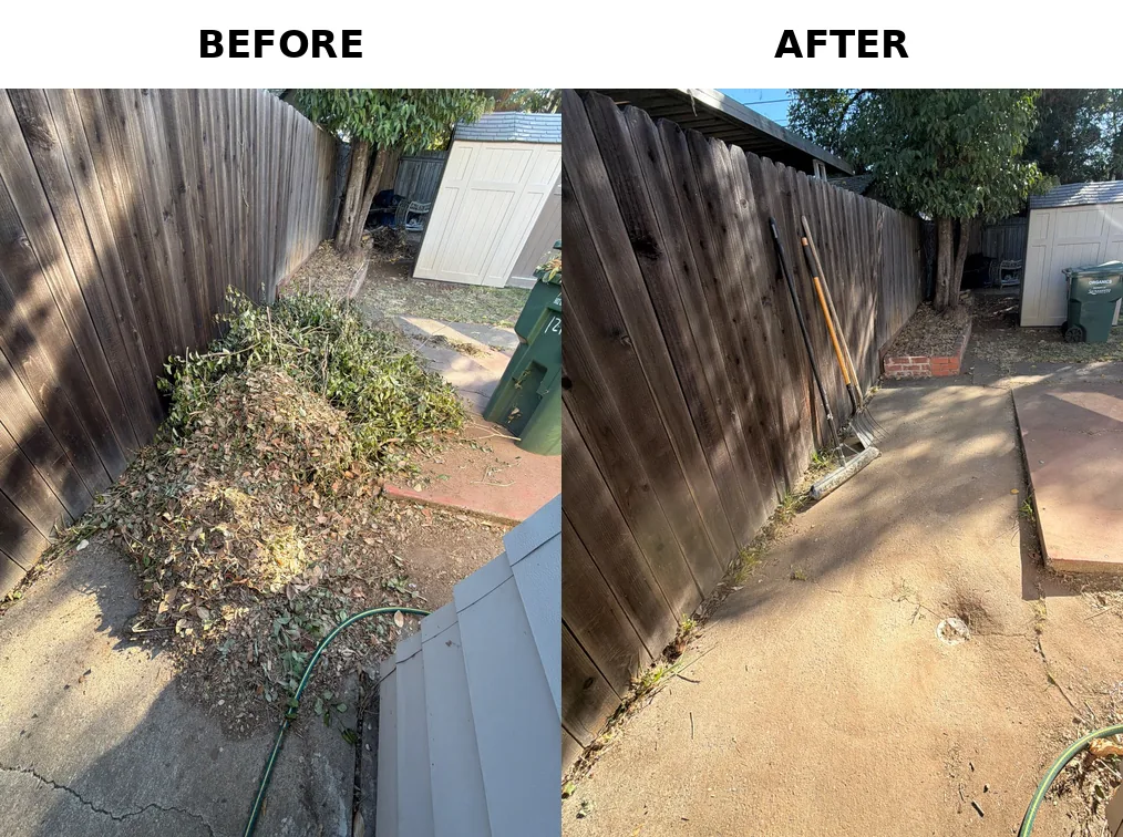 Before and after yard debris removal in Sacramento, CA 95864
